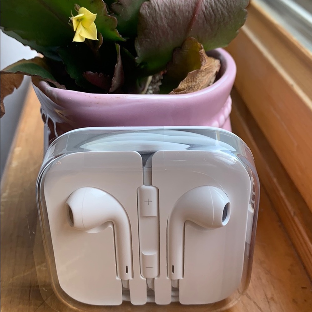 NEW Apple Earpods